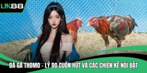 Đá Gà Thomo